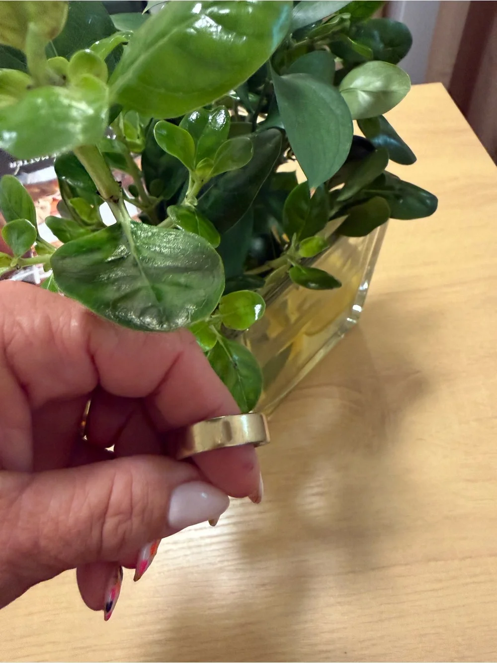 Oura Ring in Gold